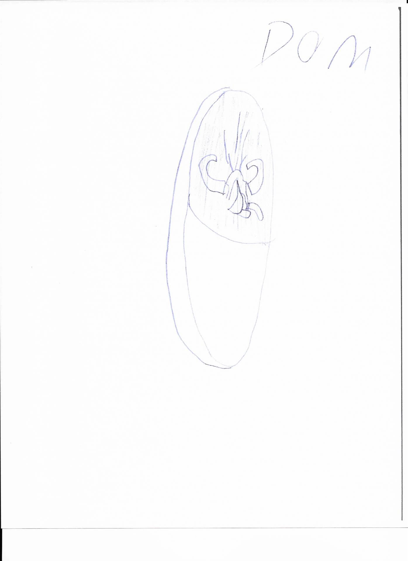 Veshio Slipper