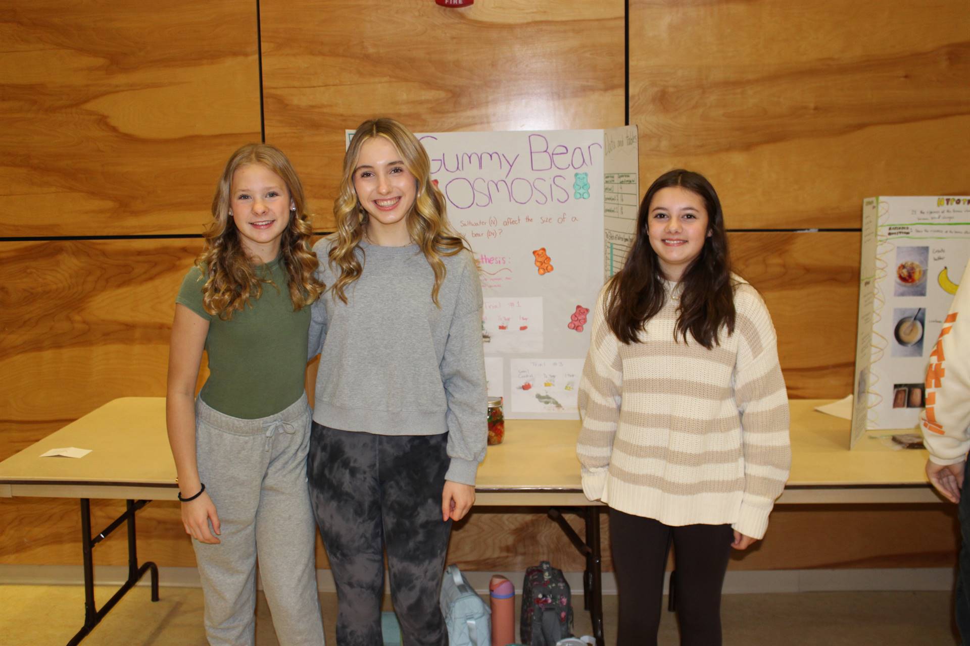 Science fair 