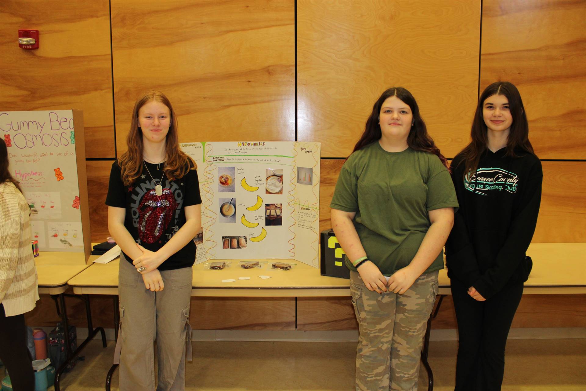 Science fair 