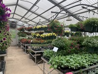 The 2021 FFA Greenhouse